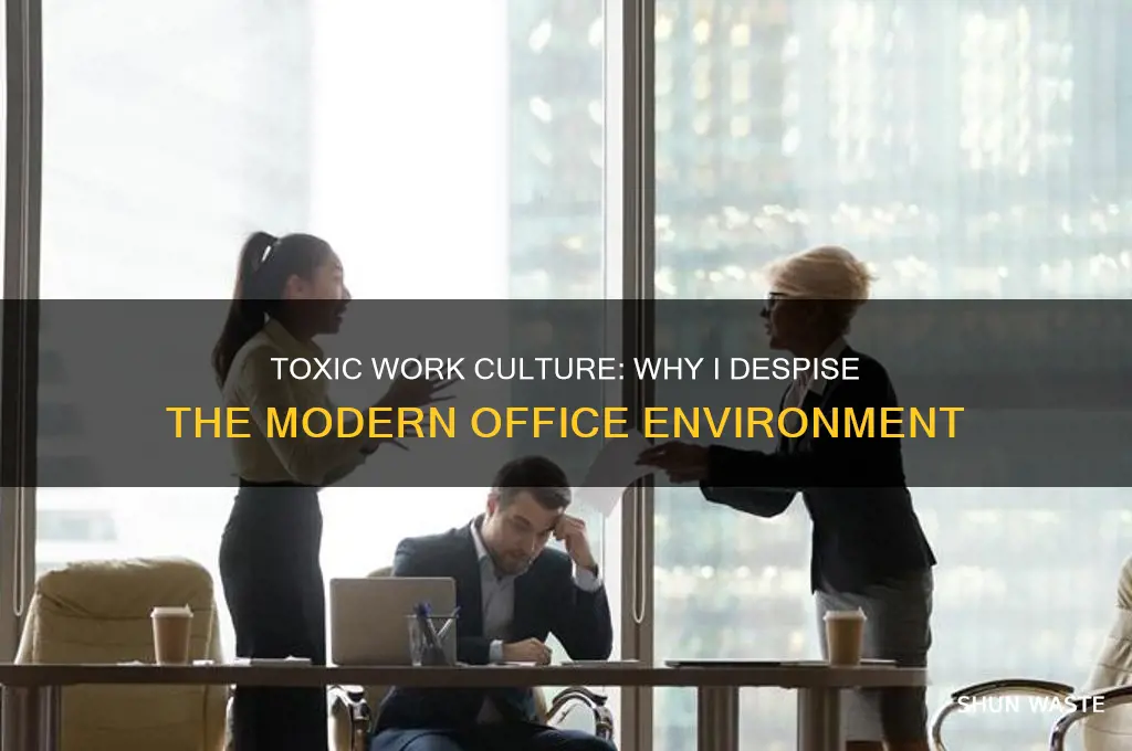 why i hate the work environment