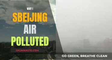 Beijing's Air Pollution: A Complex Problem