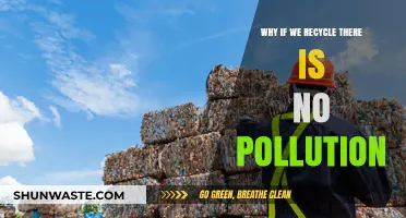Recycling Revolution: How Reusing Resources Eliminates Pollution and Saves Earth