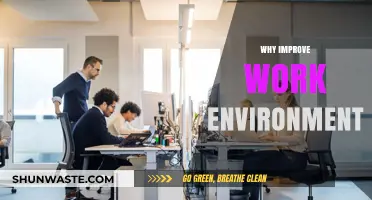Enhance Productivity: Transform Your Work Environment for Success and Growth
