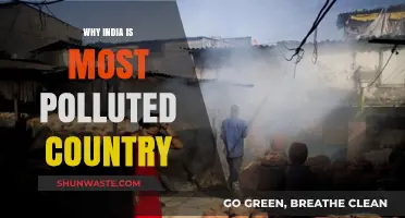 India's Pollution Crisis: Unraveling the Causes of Severe Air Quality