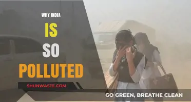 India's Pollution Crisis: Why It's So Bad