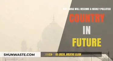 India's Pollution Crisis: A Looming Environmental Catastrophe in the Making