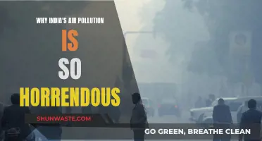 India's Air Pollution: A Deadly Crisis