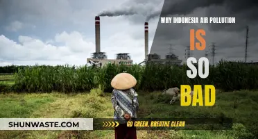 Indonesia's Air Pollution Crisis: Understanding the Causes