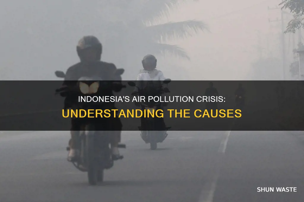 why indonesia air pollution is so bad