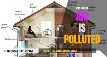Indoor Air Pollution: What's Making Us Sick?