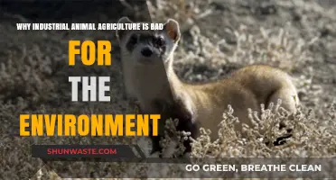Industrial Animal Agriculture's Devastating Environmental Impact: A Critical Analysis