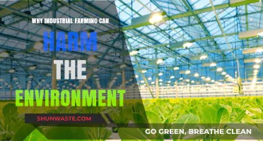 Industrial Farming's Environmental Impact: Uncovering the Hidden Costs of Mass Production