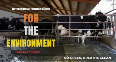 Sustainable Solutions: How Industrial Farming Benefits Our Environment