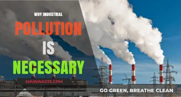 Industrial Pollution: A Necessary Evil for Economic Growth and Progress