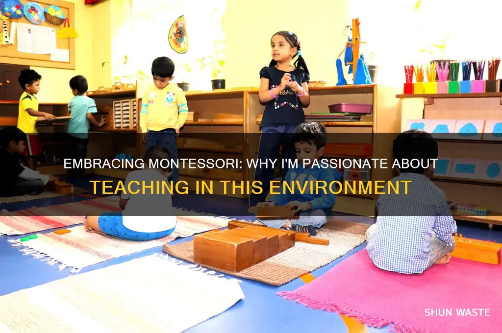 why interested in working in a montessori school environment