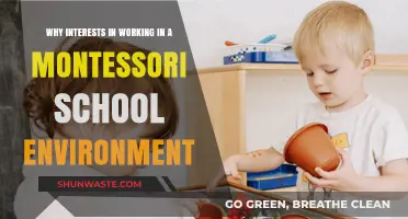 Discovering the Joy of Teaching in a Montessori School Environment