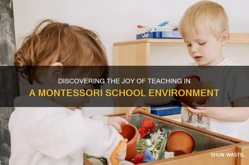 why interests in working in a montessori school environment