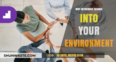 Embrace Change: Transform Your Environment for Growth and Innovation