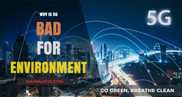 Environmental Impact of 5G: Uncovering the Hidden Ecological Costs