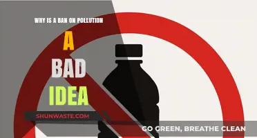 Pollution Bans: Unintended Consequences and Economic Pitfalls Explained