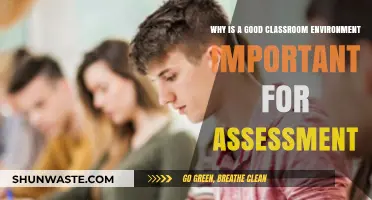 Creating Optimal Learning Spaces: The Impact of Classroom Environment on Assessment