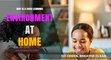 Creating a Productive Home Learning Environment: Benefits and Strategies