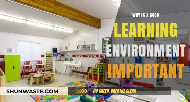 Creating Optimal Learning Spaces: The Impact of Environment on Education