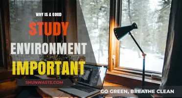 Enhance Focus and Productivity: The Importance of a Good Study Environment