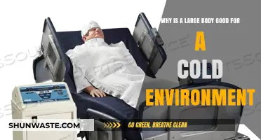 Bulk Beats Chill: How Larger Bodies Thrive in Cold Climates