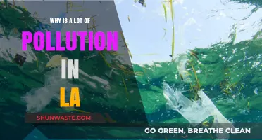 LA's Pollution Crisis: Uncovering the Causes and Consequences