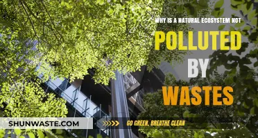 How Natural Ecosystems Self-Regulate to Remain Waste-Free and Clean