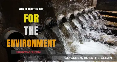 Abortion's Ecological Impact: Unseen Environmental Consequences of Unwanted Pregnancies