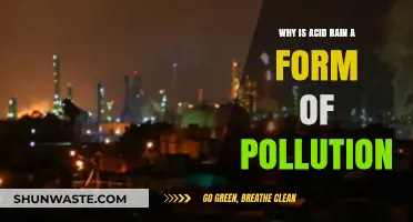 Acid Rain: A Hidden Environmental Pollutant and Its Impact