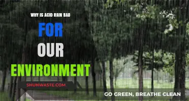 Acid Rain's Devastating Impact on Ecosystems and Human Health
