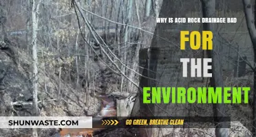 Acid Rock Drainage: Environmental Hazards and Ecosystem Destruction Explained