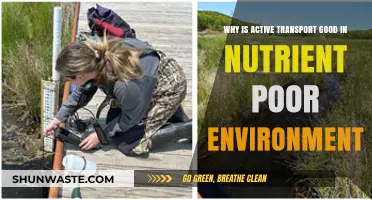 Active Transport: Key to Survival in Nutrient-Poor Environments