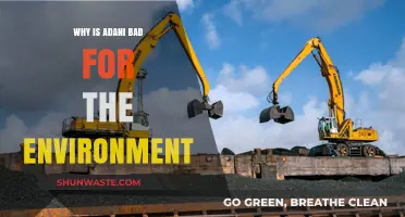 Adani's Environmental Impact: A Threat to Ecosystems and Climate