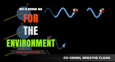 Aerosol's Environmental Impact: Harmful Effects and Sustainable Alternatives Explained
