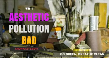 Aesthetic Pollution's Harm: How Visual Clutter Impacts Our Well-Being
