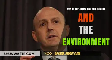 Affluenza's Dark Impact: How Overconsumption Harms Society and the Environment