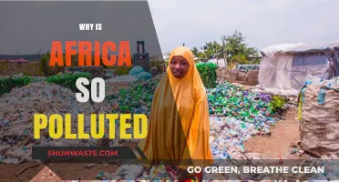 Africa's Pollution Crisis: Uncovering Causes and Seeking Sustainable Solutions