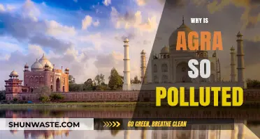 Agra's Pollution Crisis: Uncovering the Causes and Consequences