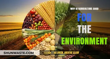 Sustainable Farming: How Agriculture Benefits Our Environment and Future