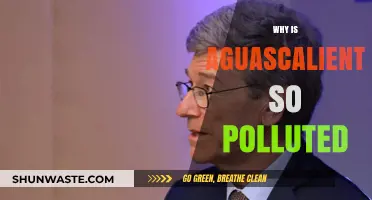Aguascalientes' Pollution Crisis: Causes, Impacts, and Urgent Solutions Needed