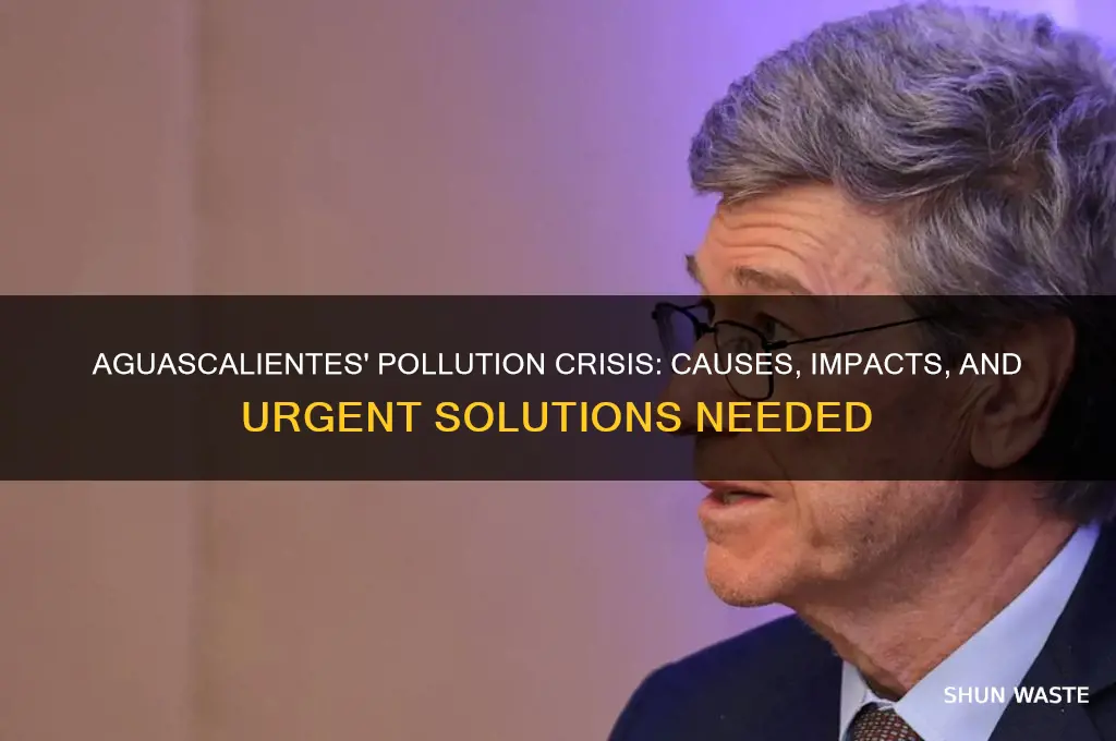 why is aguascalientes so polluted