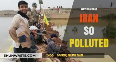 Unveiling Ahwaz's Air Crisis: Causes of Iran's Pollution Hotspot