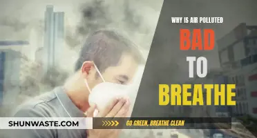 Air Pollution: A Hazardous Inhalation