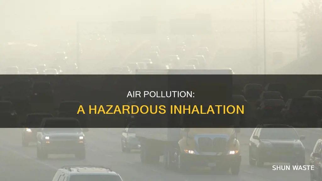 why is air polluted bad to breathe