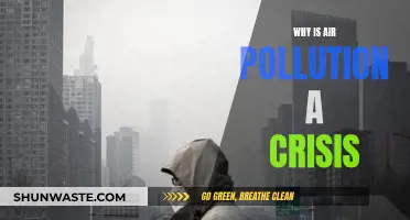 Air Pollution: A Crisis Affecting Our Health and Planet