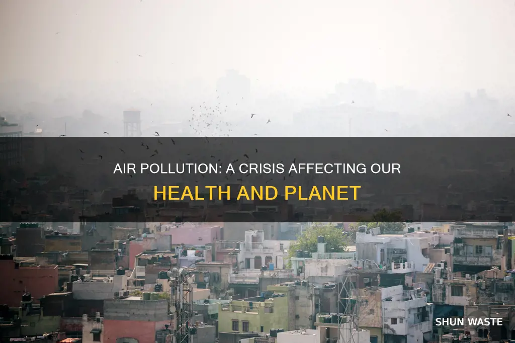why is air pollution a crisis