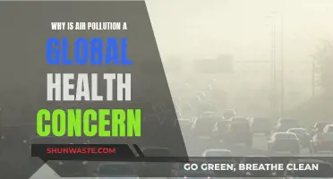 Air Pollution: A Global Health Crisis