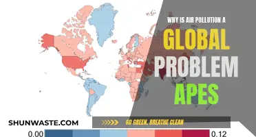 Air Pollution's Global Impact: A Critical Concern for All