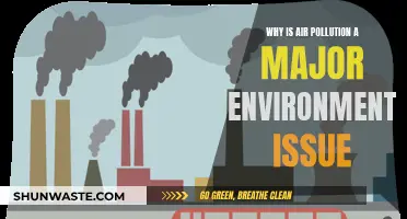 Air Pollution: A Deadly, Global Crisis
